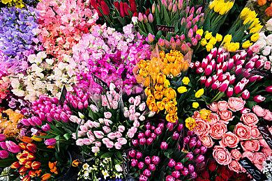 心理恐怖RPG《OMORI》销量破百万 画风清新好评如潮