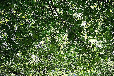 《天国：拯救2》总监害怕被解雇 采用多元顾问审核剧本