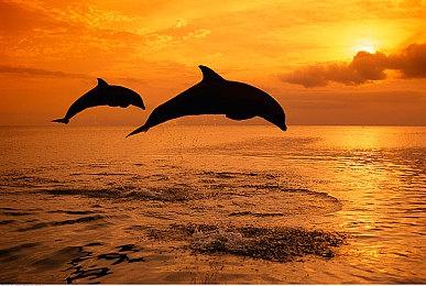 《地心护核者》首周销量达25万 Steam特别好评